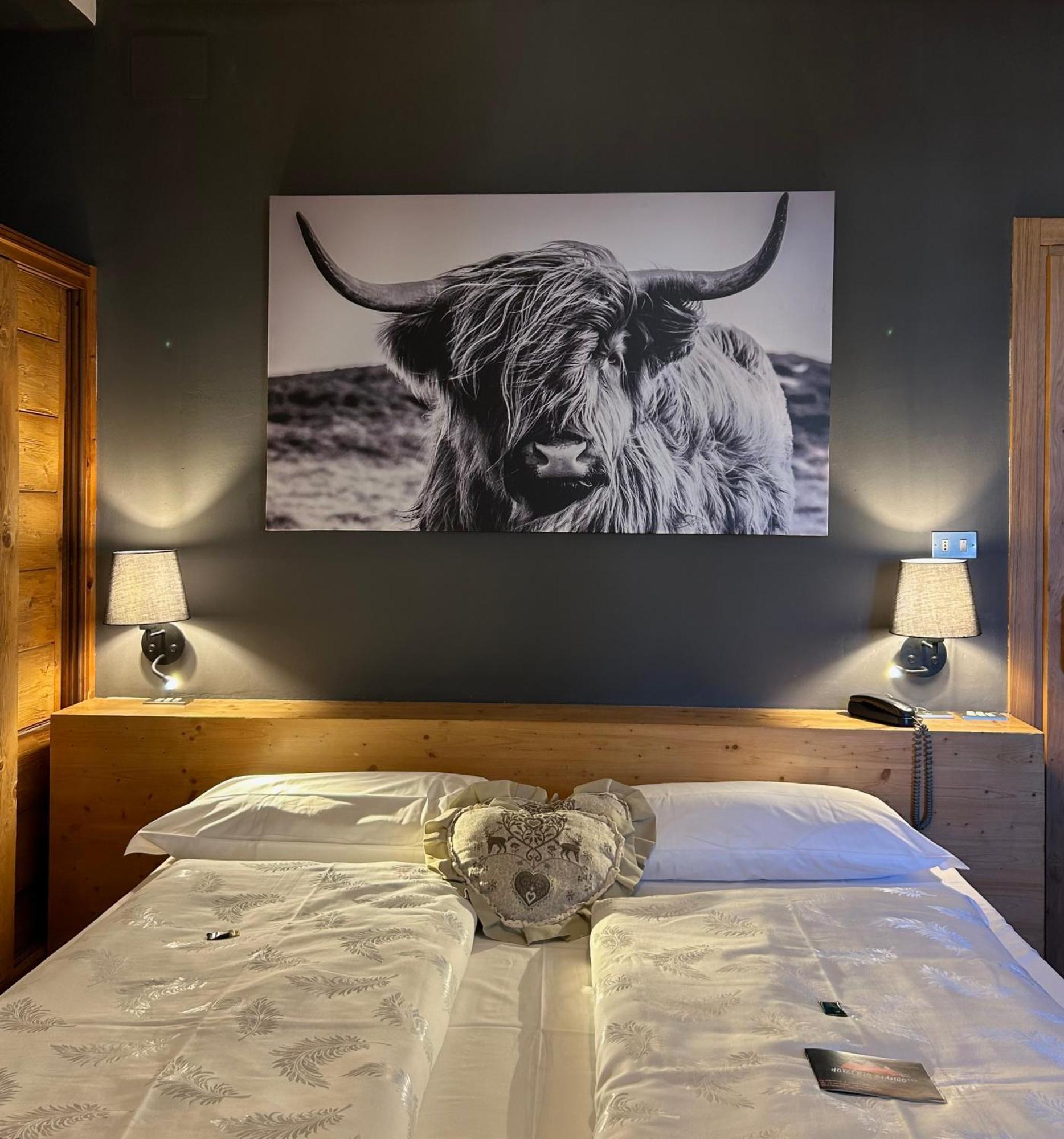 Hotel Rio Bianco Panchià Eksteriør bilde
